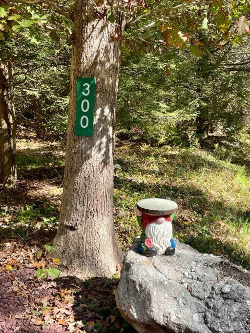Cozy Log In Сasa de vacaciones Jim Thorpe
